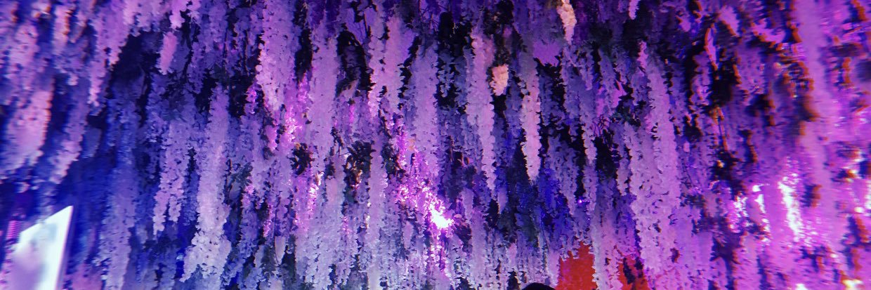1shania3's profile banner image