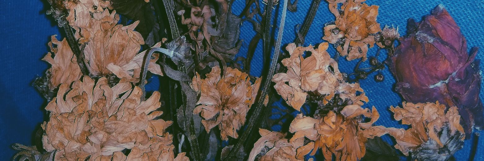 Indahooo's profile banner image
