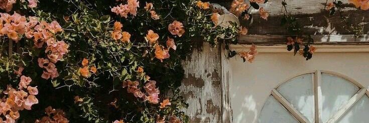 atieqaaris's profile banner image