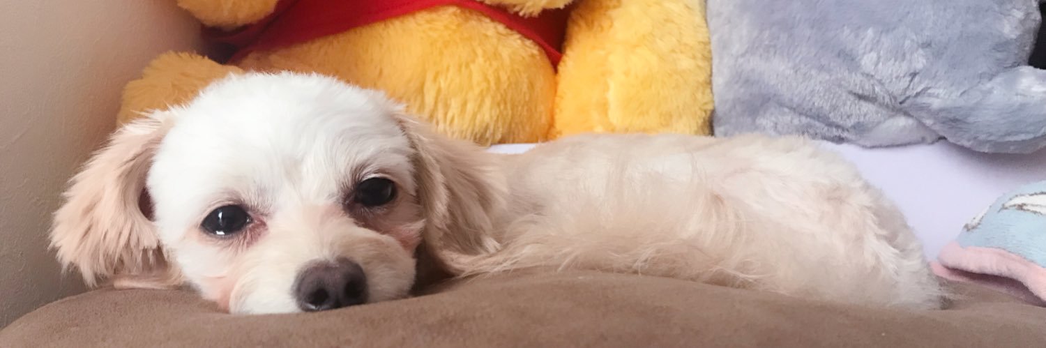 achan5811's profile banner image