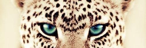 ValySanchez97's profile banner image