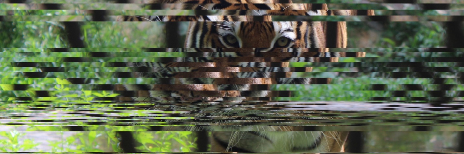 tpage001's profile banner image