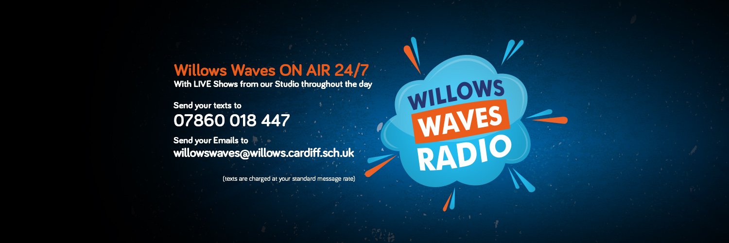 WillowsWaves's profile banner image