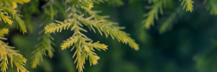 tonytony's profile banner image