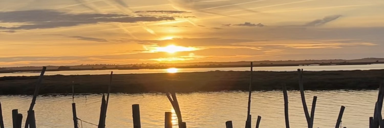 MonicaFranco_S's profile banner image