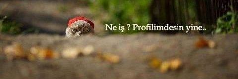 benekozbal's profile banner image