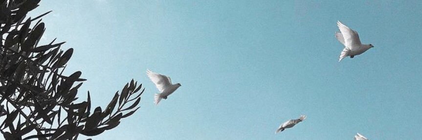 iFtoosha's profile banner image