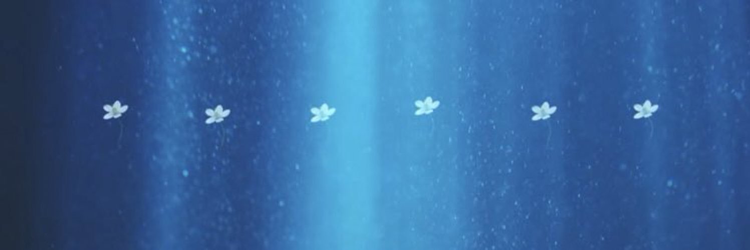 06Devotee's profile banner image