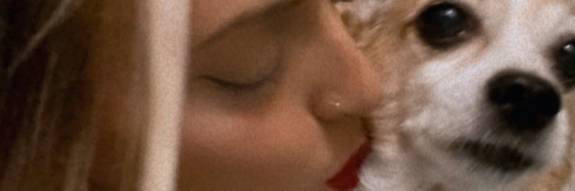 StaCoronado's profile banner image