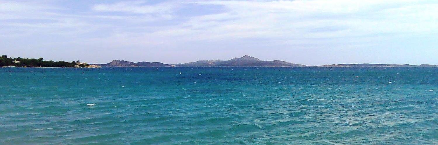 Renato Di Lorenzo banner