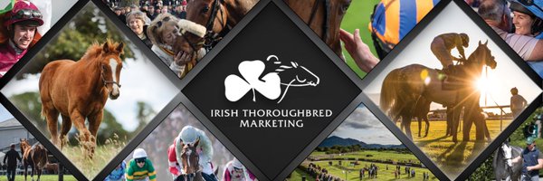 IREthoroughbred Profile Banner