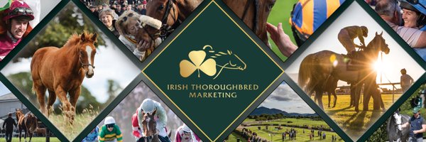 IREthoroughbred Profile Banner