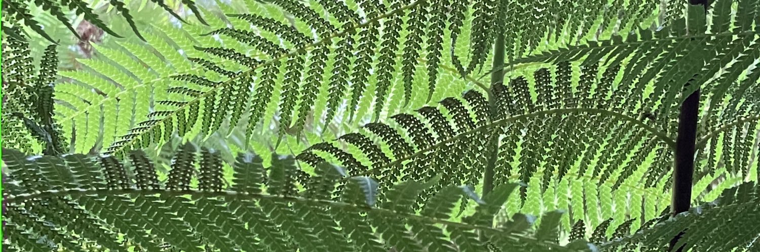 hlvr's profile banner image
