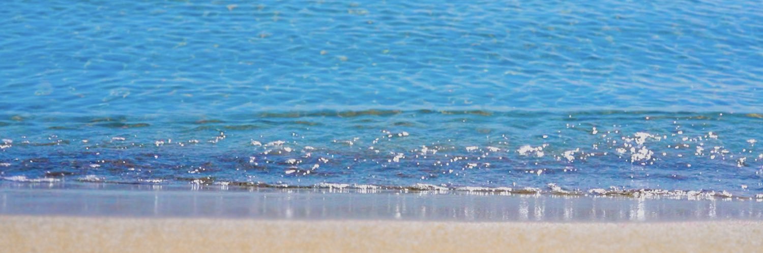 rakunydia's profile banner image
