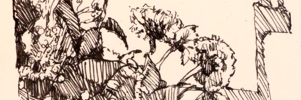 theloolii's profile banner image