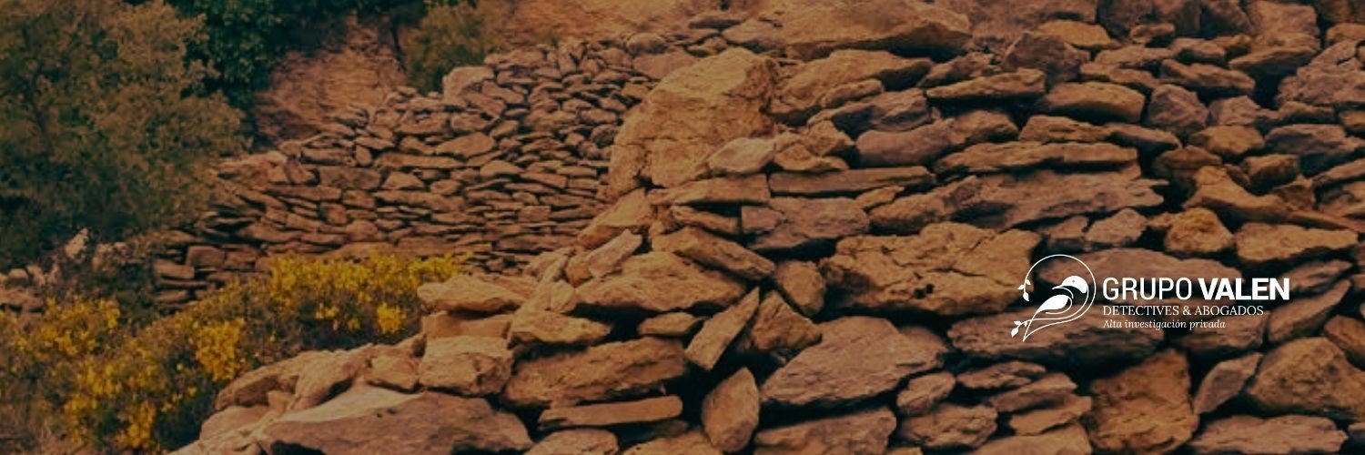 VALENDETECTIVES's profile banner image