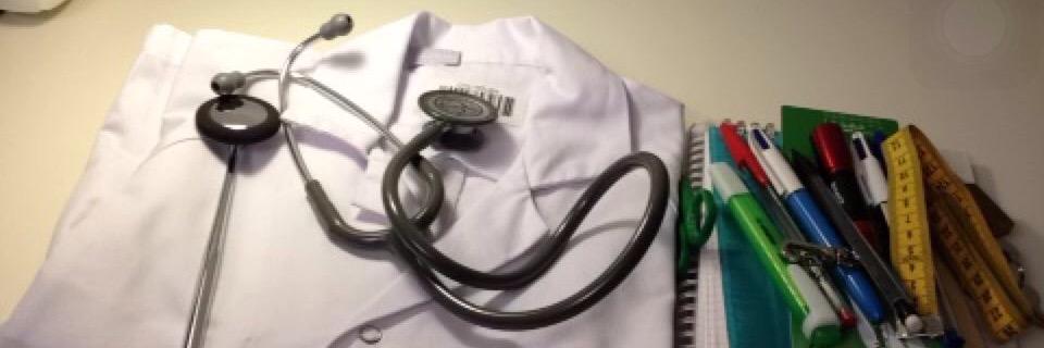 Alix Delamare Fauvel banner