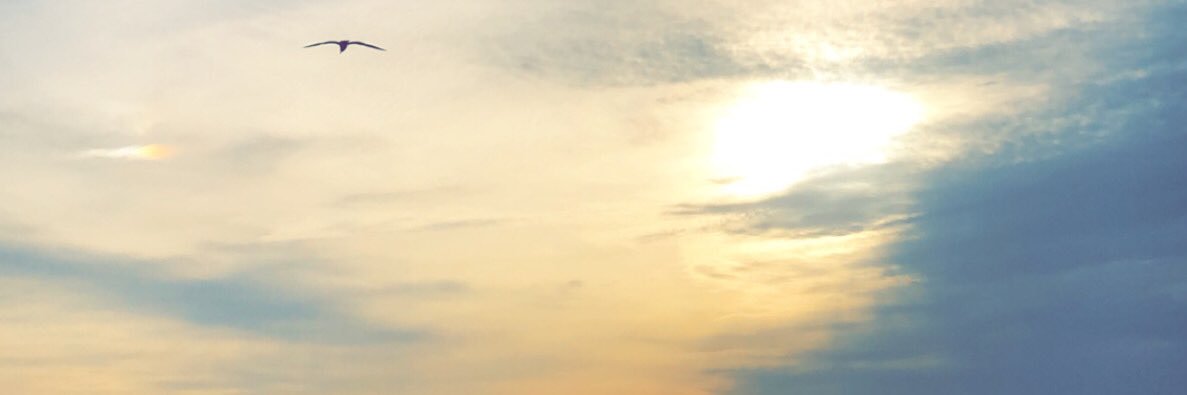 matthewyork_'s profile banner image
