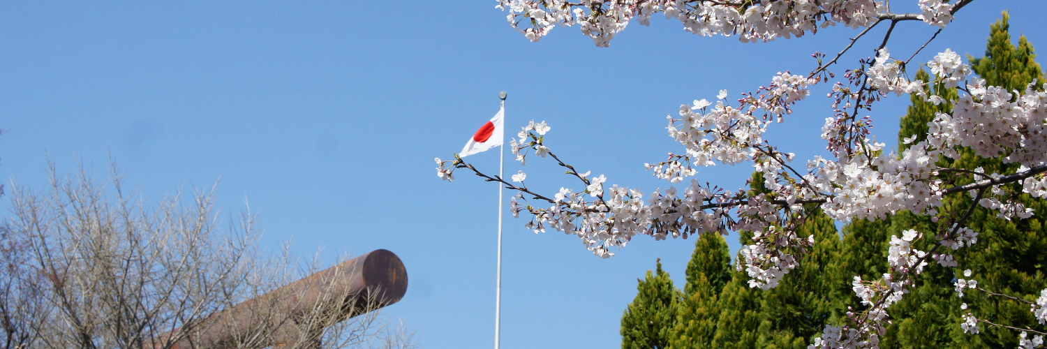dali_no1's profile banner image