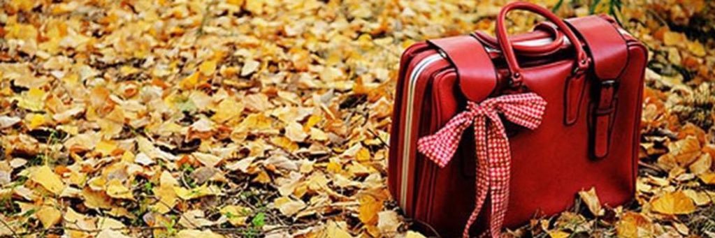Maria🥀 banner