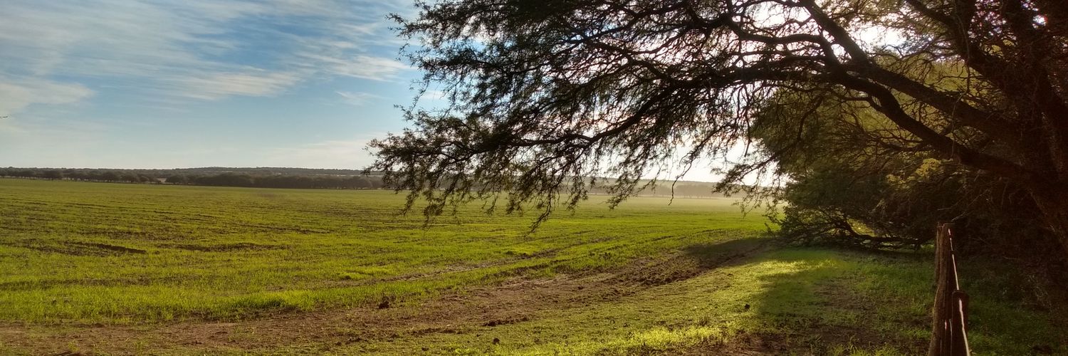 GustavoBerton's profile banner image