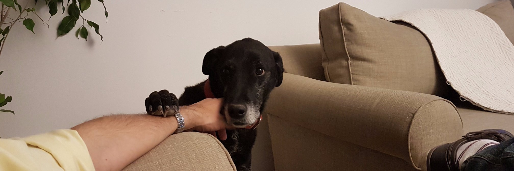 cheloherrera's profile banner image
