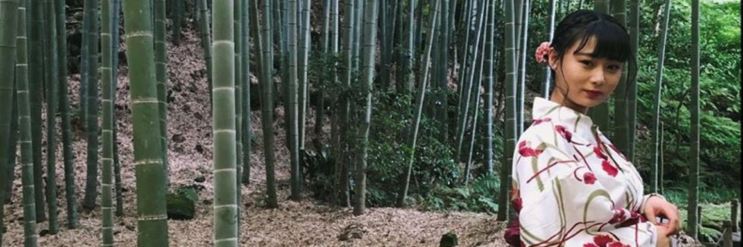 ssibangfss's profile banner image