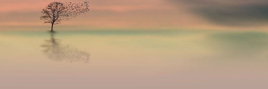 CingEty's profile banner image