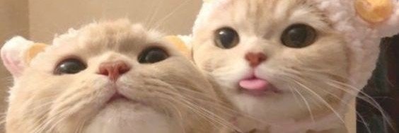Pretty_uchy's profile banner image