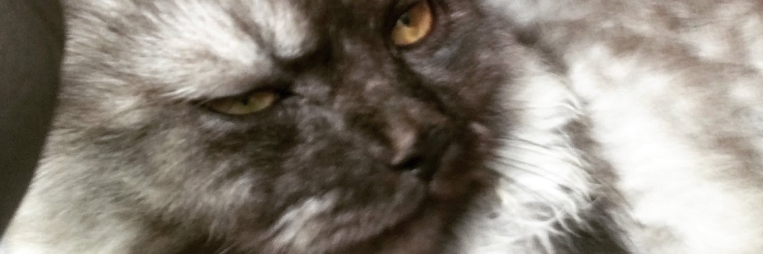 RizkaMahmud's profile banner image