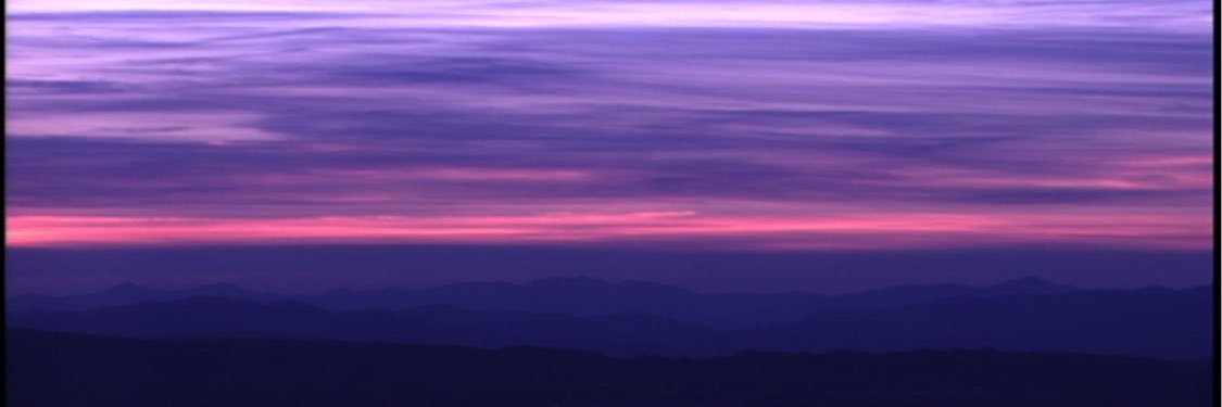 SeaQuinnz's profile banner image