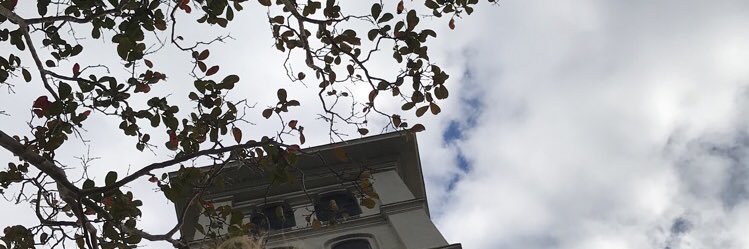 hbwellborn's profile banner image