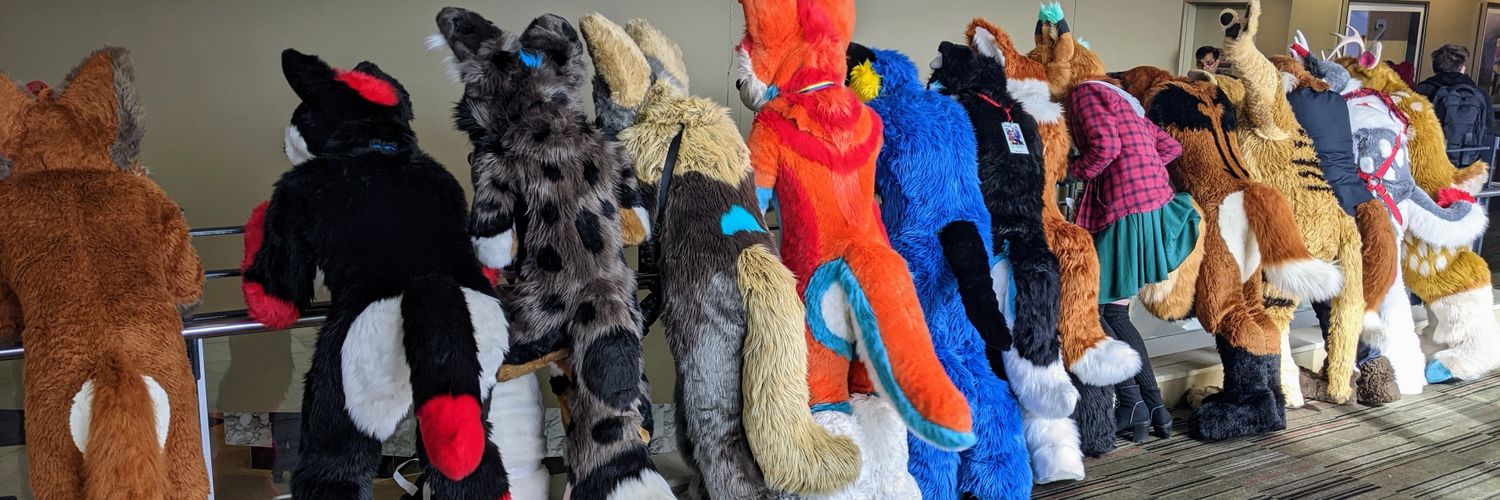 Dingo 🐾 (@Vintage_Dingo) / Posts / X