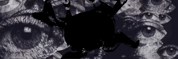sizuru21's profile banner image