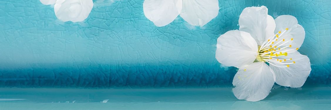 Син✨ banner