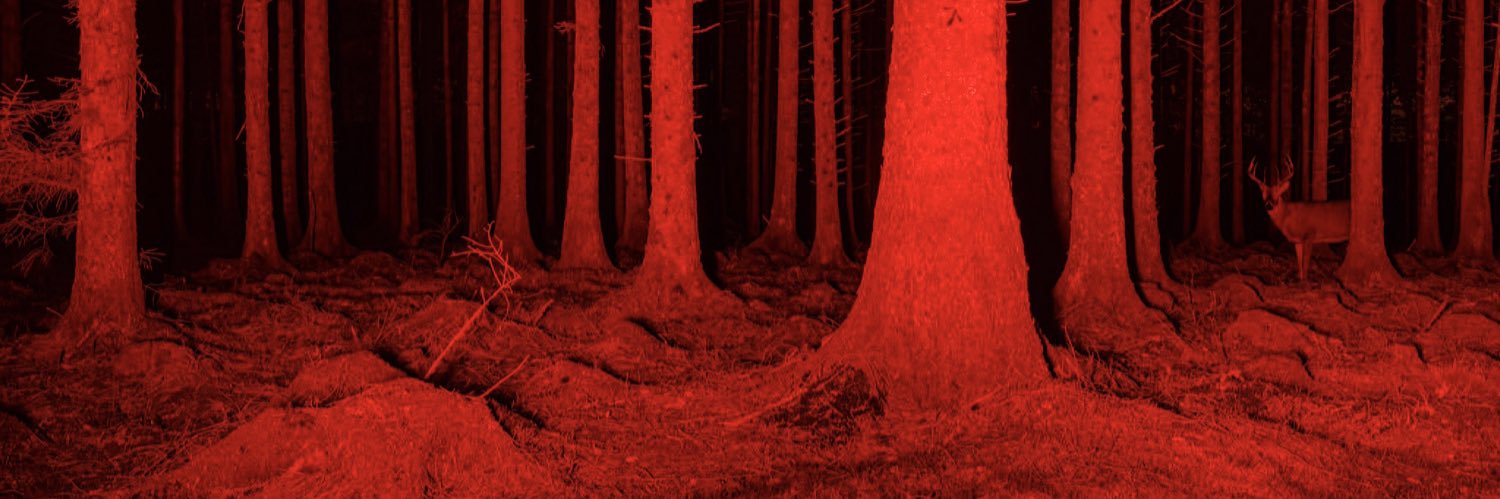 dropdinkdavis's profile banner image