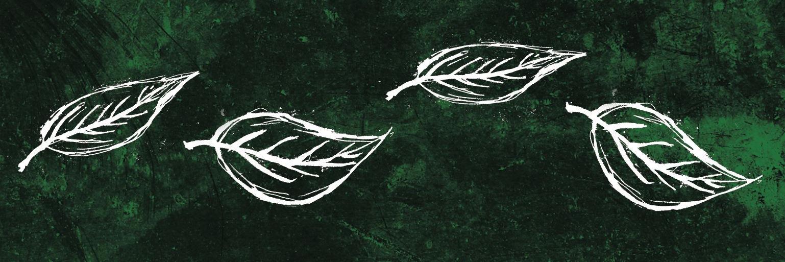 theVerdict_'s profile banner image