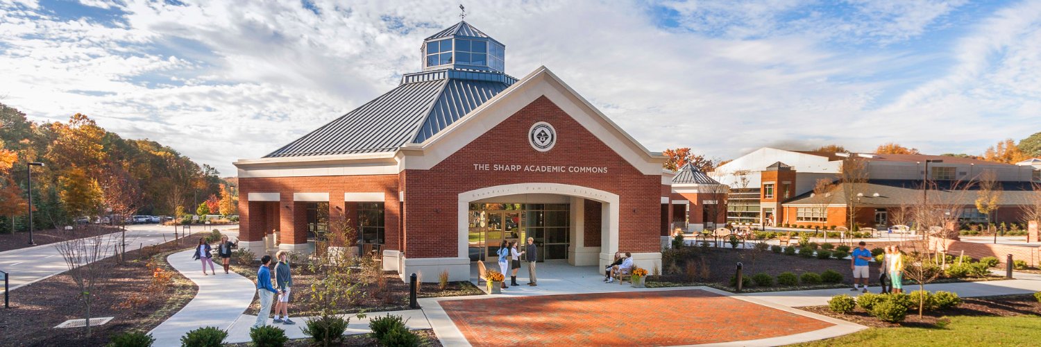 Collegiate School banner