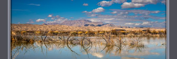 DavidDWilson Profile Banner