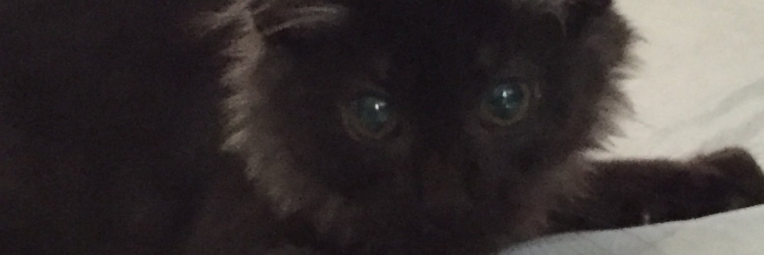 IzzuddinFatimah's profile banner image