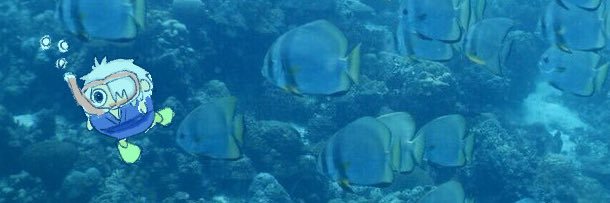 水族館's banner