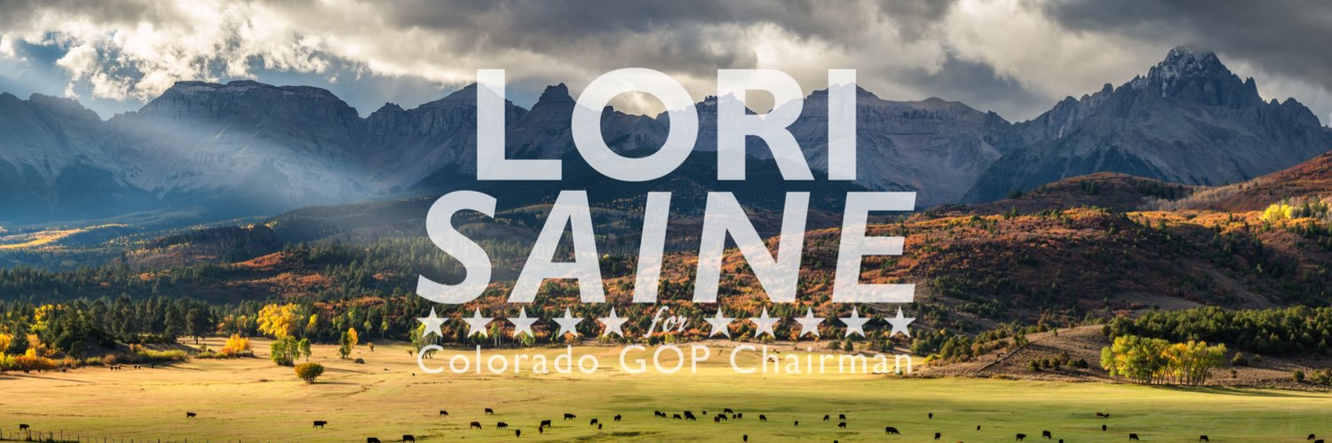 Lori Saine for Freedom banner