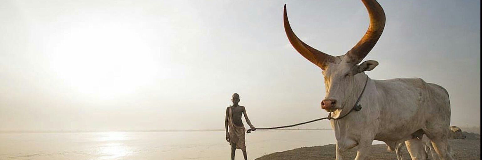 online_bhuda's profile banner image