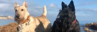 BeingNatalie's profile banner image