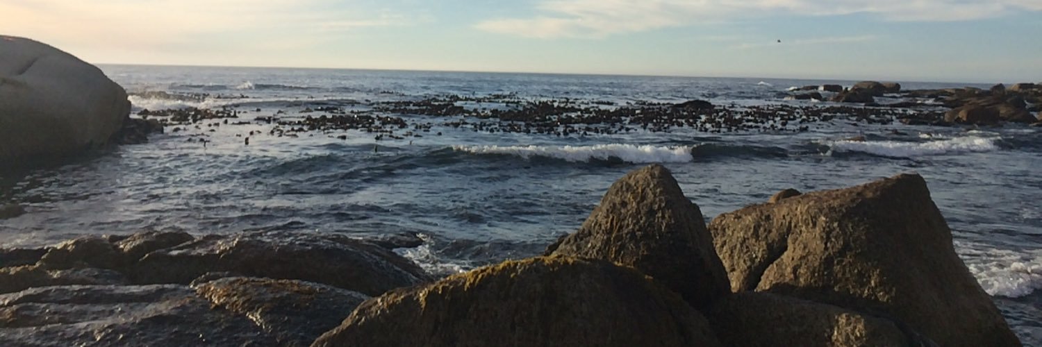 lush2769's profile banner image