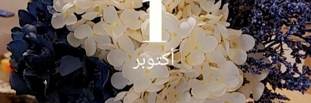 sarab19911's profile banner image