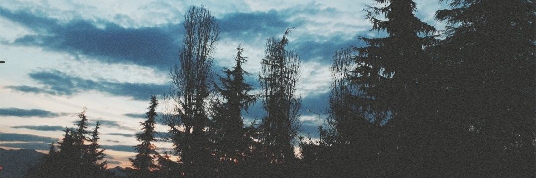 usernamemiro's profile banner image