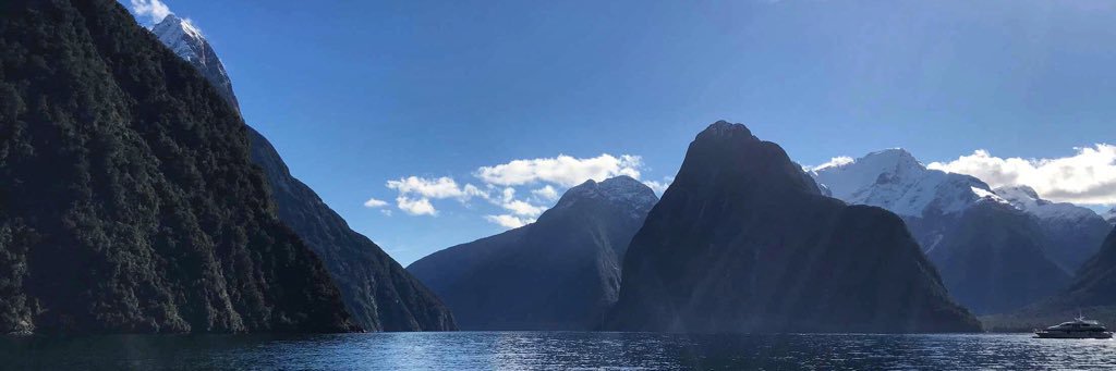 Chelsinator89's profile banner image