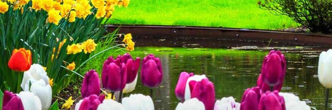 omaniloving's profile banner image