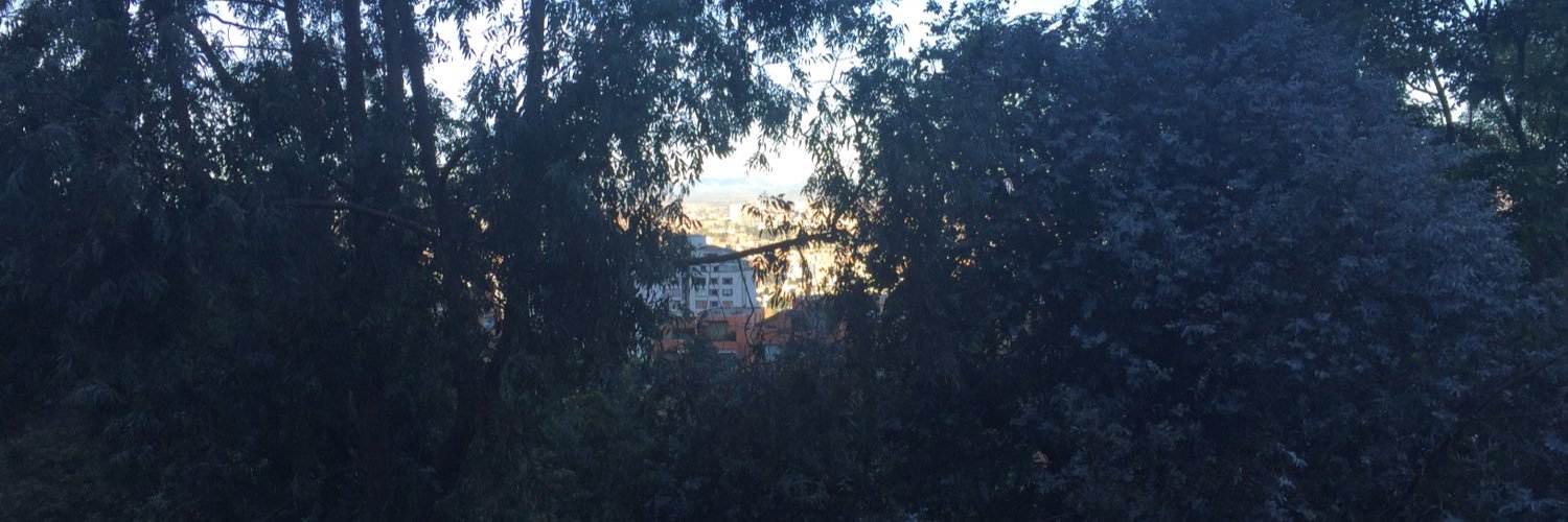 mafenava1's profile banner image